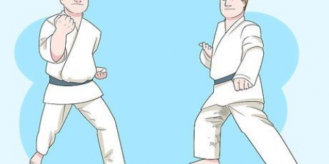 Comprendere le basi del karate