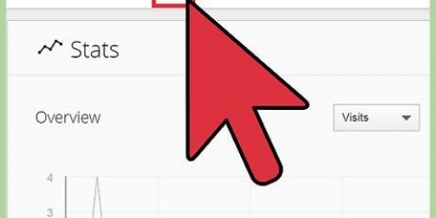 Controllo del numero di visitatori di un sito web