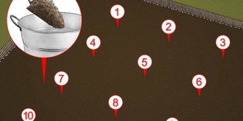Preparare il terreno per il tappeto erboso