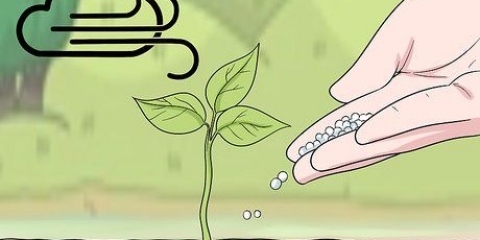 Usando il fertilizzante urea