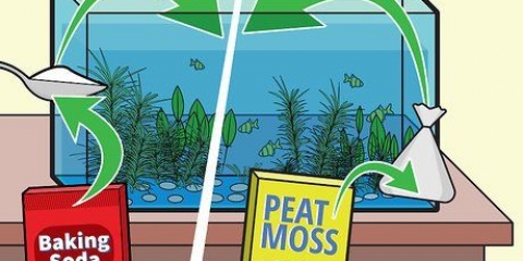 Regolazione del ph dell'acqua