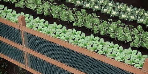 Tieni gli animali fuori dal tuo orto