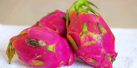 Mangiare il frutto del drago (pitaya)