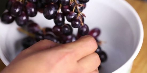 Fare il succo d'uva