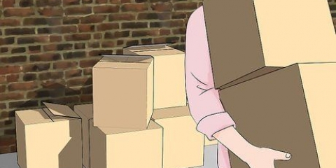 Uccidere gli scarafaggi tedeschi