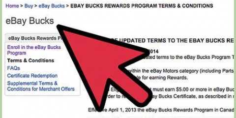 Guadagna dollari ebay