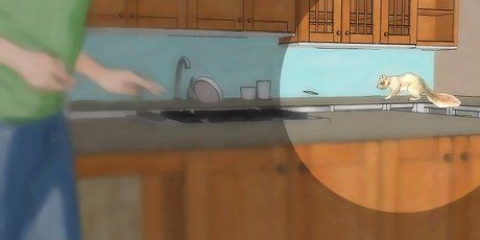 Rimuovi gli scoiattoli da casa tua