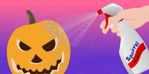 Tenere gli scoiattoli lontani dalle zucche