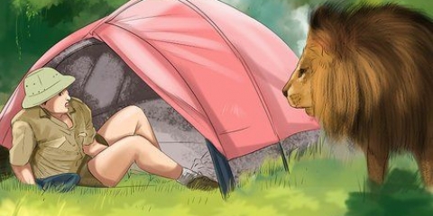 Sopravvivere a un attacco di leone