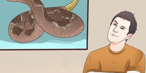 Prevenire un attacco di serpente a sonagli