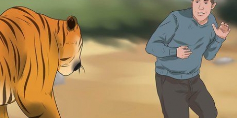 Sopravvivere a un attacco di tigre