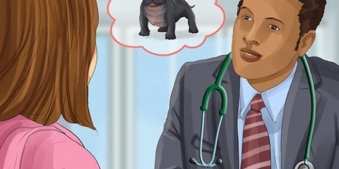 Dare da mangiare a un cucciolo di bullo americano