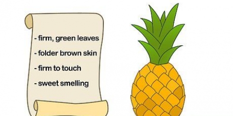 Coltivare un ananas
