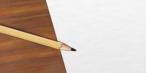 Disegna un ananas