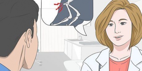 Aiutare un cane ansioso a salire le scale