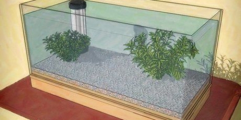 Fai girare un acquario