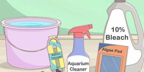 Pulizia di un acquario