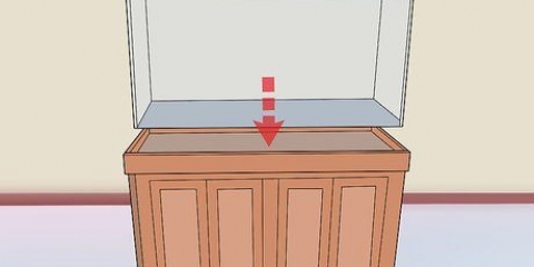Costruire uno stand per acquari
