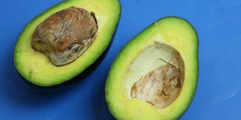 Mangiare un avocado