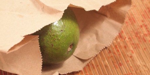 Fai maturare un avocado