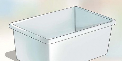 Fare il bagno a un drago barbuto