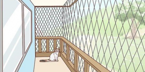 Rendere un balcone sicuro per i gatti