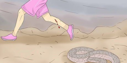 Trattare un morso di serpente a sonagli