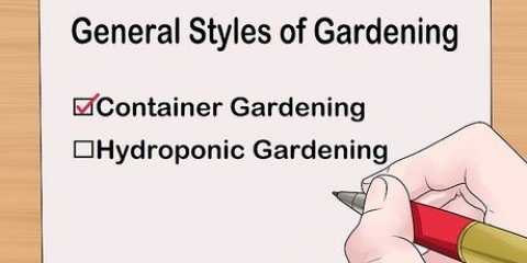 Progettare un giardino interno