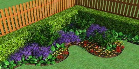 Crea un giardino fiorito