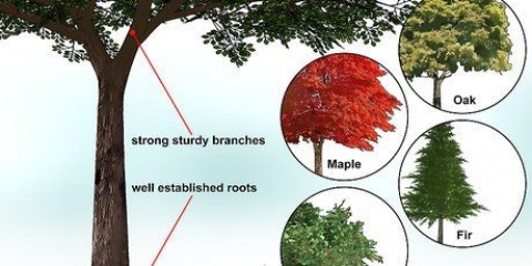 Costruire una casa sull'albero