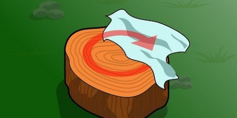 Tieni un ceppo d'albero