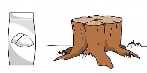 Uccidi un ceppo d'albero