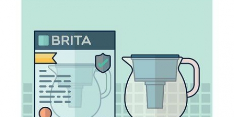 Utilizzando una brocca d'acqua brita
