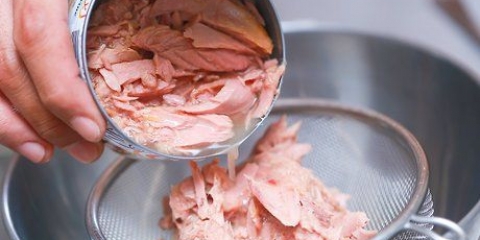 Fare un panino con insalata di tonno