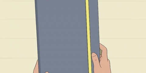 Tenere un diario dei proiettili