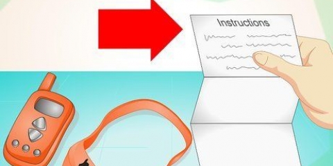Utilizzo di un collare di addestramento elettronico