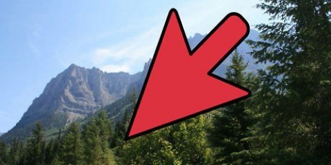 Rendi migliore una foto con photoshop