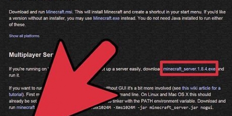 Configura un server minecraft rotto