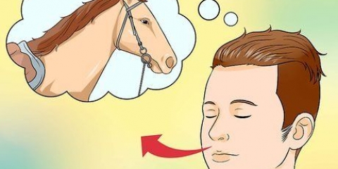 Calmare un cavallo spaventato