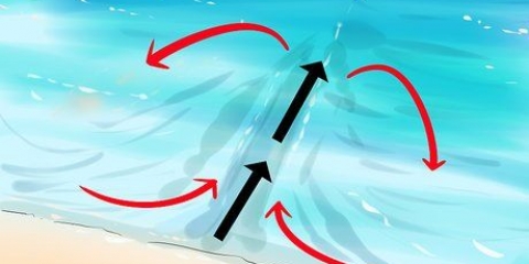 Sopravvivere a un flusso di marea