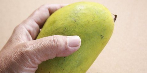 Scegliere un buon mango
