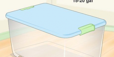 Realizzare una gabbia per criceti da una scatola di plastica