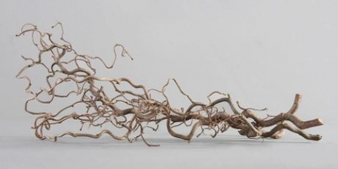 Crea un pezzo autunnale con rami decorativi
