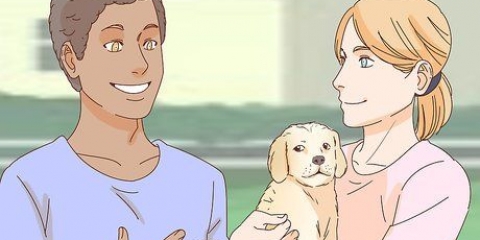 Accarezzare un cane