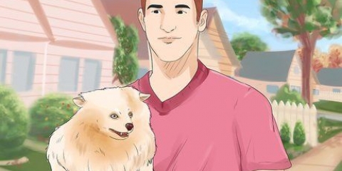 Dare a un cane un nuovo nome