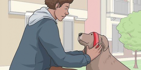 Portare a spasso un cane