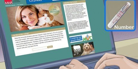 Traccia un animale domestico con un chip