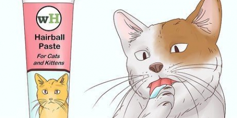 Aiutare un gatto a tossire una palla di pelo