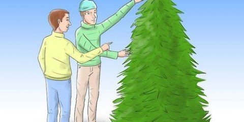 Prendersi cura di un albero di natale