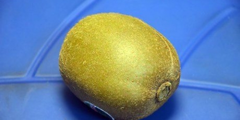 Fai maturare un kiwi